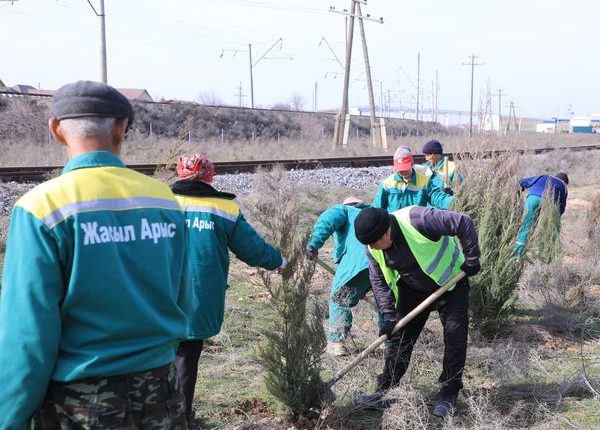 ТҮРКІСТАН: АРЫСТА КӨКТЕМГІ АҒАШ ОТЫРҒЫЗУ ЖҰМЫСТАРЫ ЖҮРГІЗІЛІП ЖАТЫР