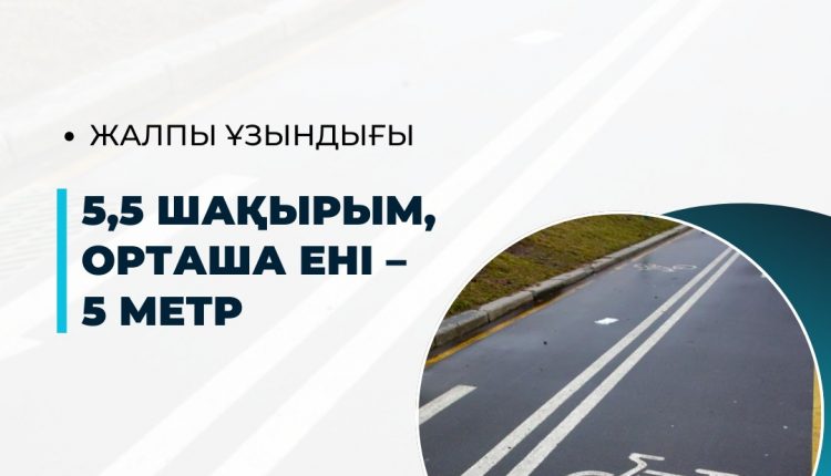 Шымкентте веложол мен жаяу жүргіншілерге арналған аймақ ашылды